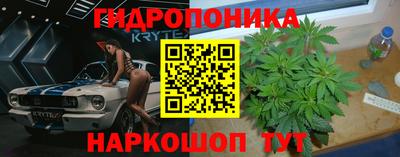 стаф Заволжье