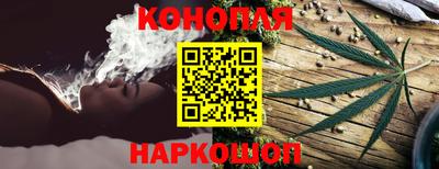 гидра Заводоуковск