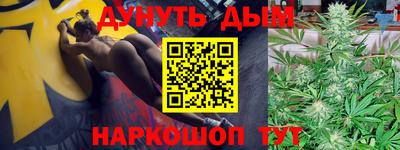 гидра Заводоуковск