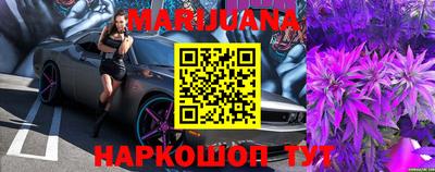 гидра Заводоуковск